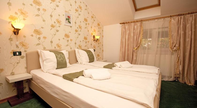 Pension Dinu Residence Temešvár Exteriér fotografie
